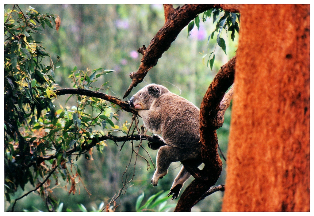 04 - Queensland (25).jpg